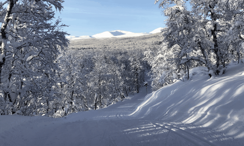 Ramundberget fjäll